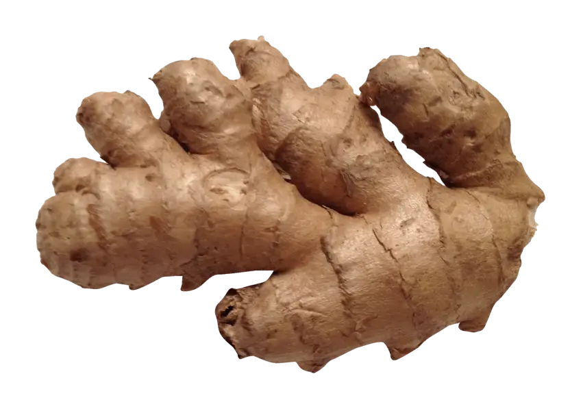 Fresh Ginger Root for Cooking and Remedies