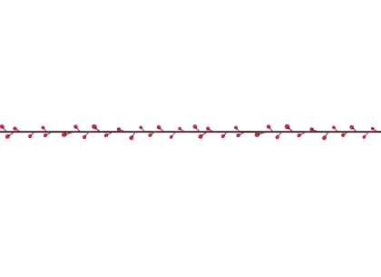 Red Berry Garland Line Design