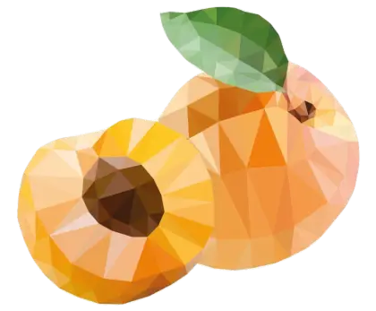 Polygonal Apricots Illustration