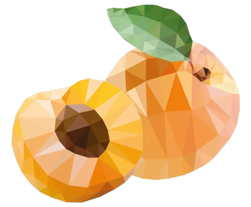 Polygonal Apricots Illustration