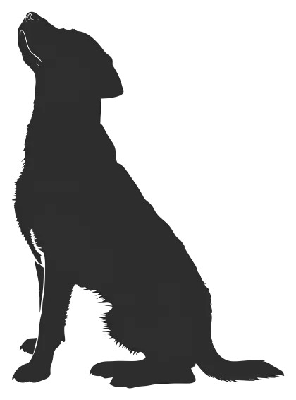 Black Dog Silhouette Artwork