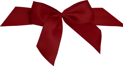 Beautiful Red Bow Ribbon Decoration