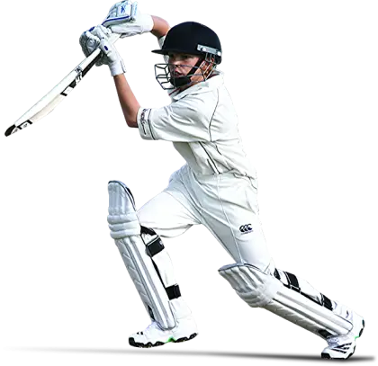 Cricketer in Action
