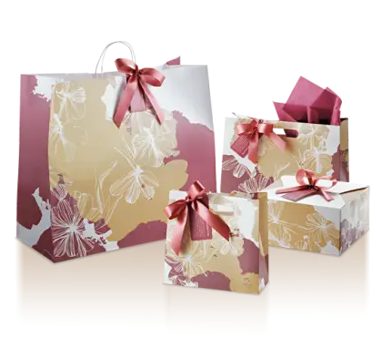 Decorative Gift Bags with Ribbons