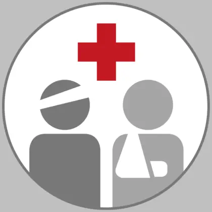 Health and Medical Icon