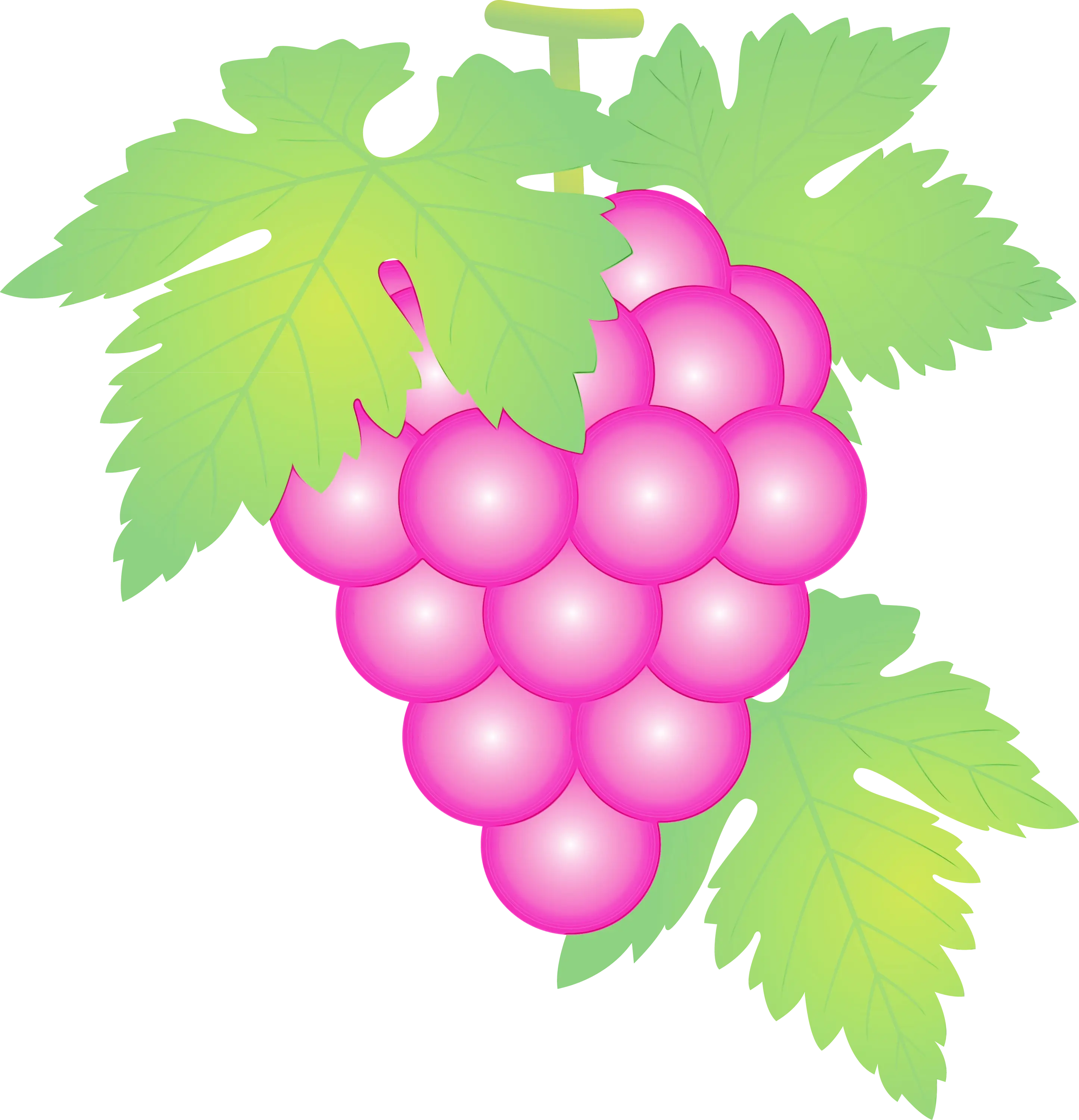 Purple Grapes with Green Leaves