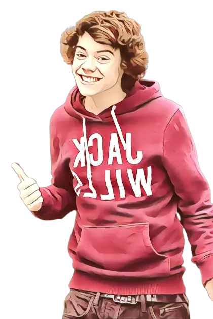 Character Portrait in Red Hoodie in Cartoon Style