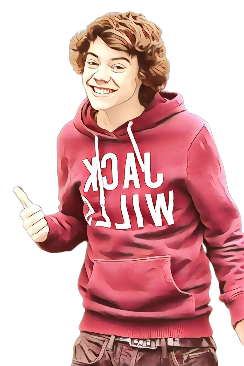 Character Portrait in Red Hoodie in Cartoon Style
