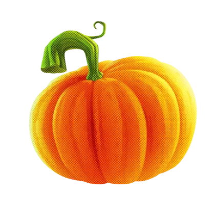 Bright Orange Pumpkin Illustration