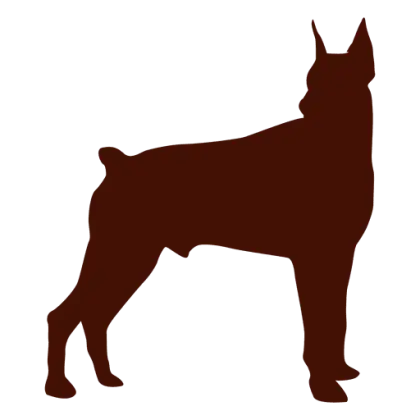 Silhouette of a Standing Dog