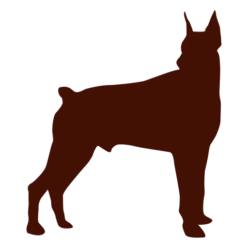 Silhouette of a Standing Dog