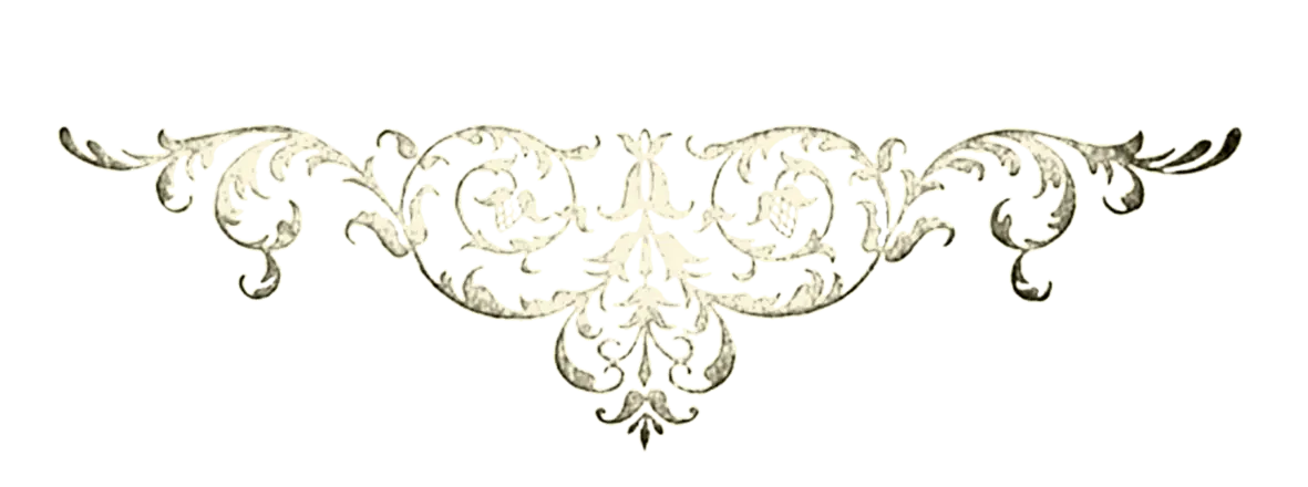 Elegant Ornate Decorative Flourish
