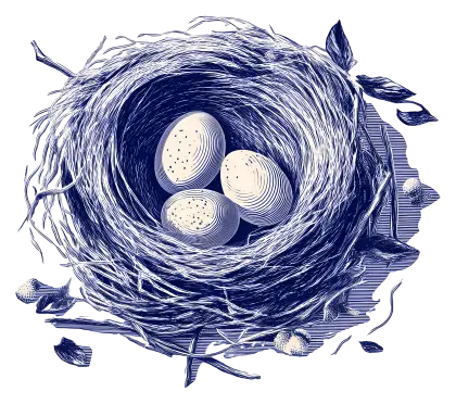 Bird&#039;s Nest with Eggs in Nature