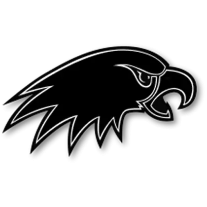 Black Eagle Head Logo Design