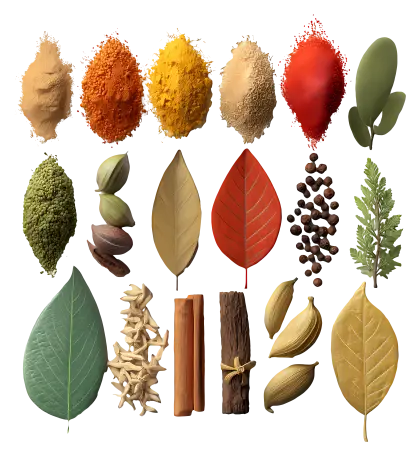Assorted Spices and Leaves