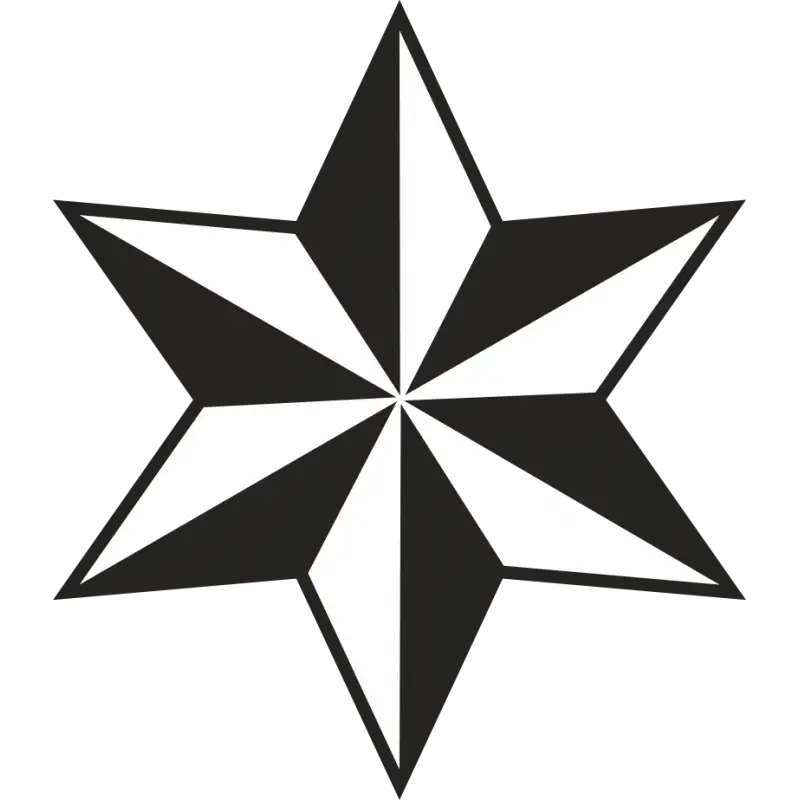 Black and White Geometric Star Illustration