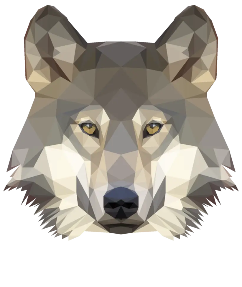 Geometric Wolf Head Illustration