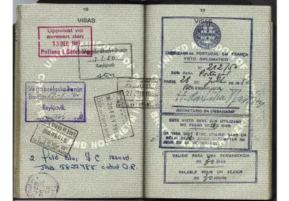 Passport Pages with Multiple Visa Stamps