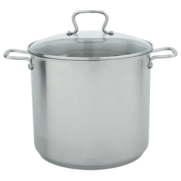 Large Stainless Steel Cooking Pot with Lid