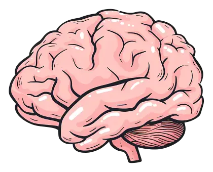 Brain Cartoon Illustration for Education Concept