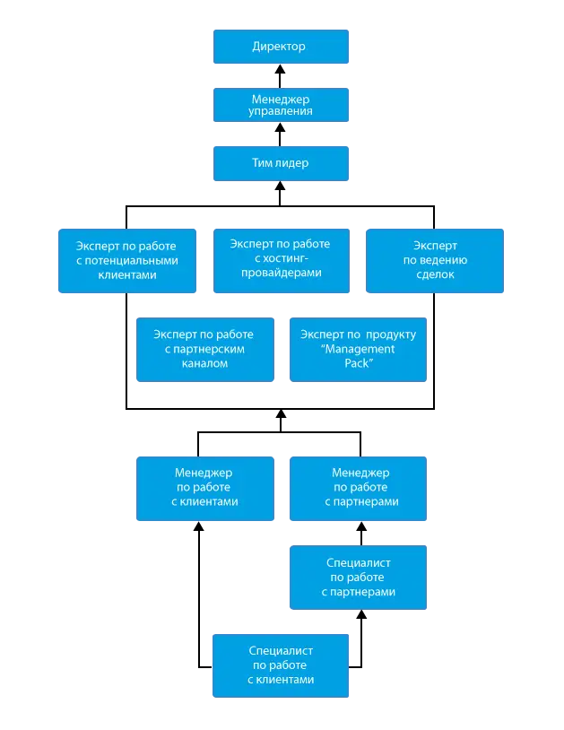 Organizational Flowchart Diagram