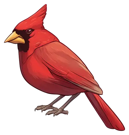 Vibrant Red Cardinal Bird Illustration