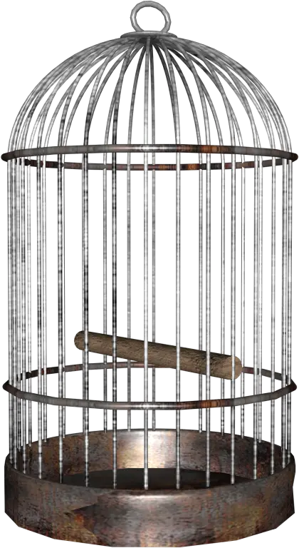 Vintage Metal Bird Cage Illustration