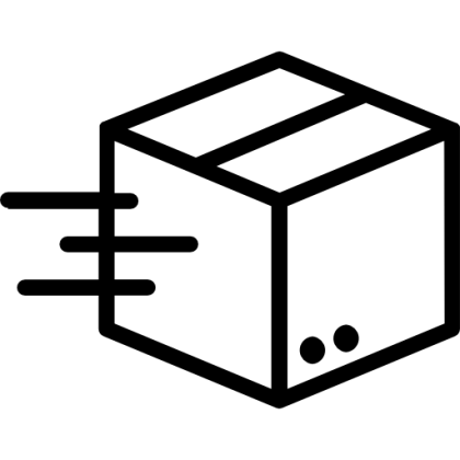 Fast Delivery Package Icon