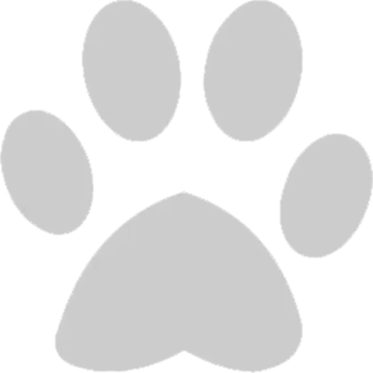 Gray Animal Paw Print Symbol