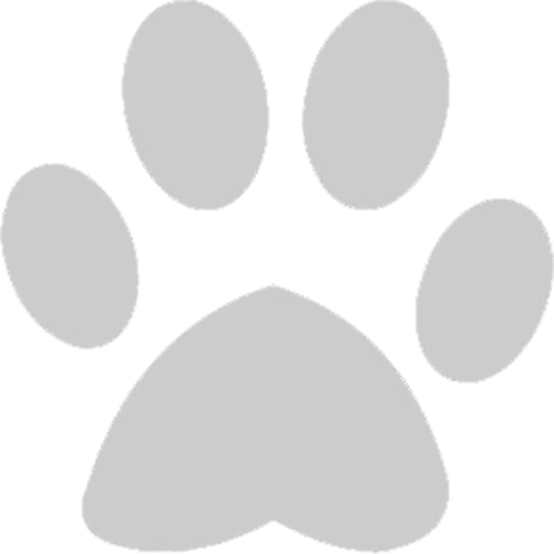 Gray Animal Paw Print Symbol