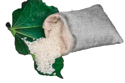 Sack of Rice with Green Leaves
