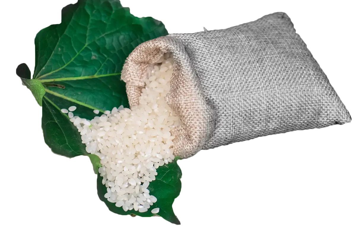 Sack of Rice with Green Leaves