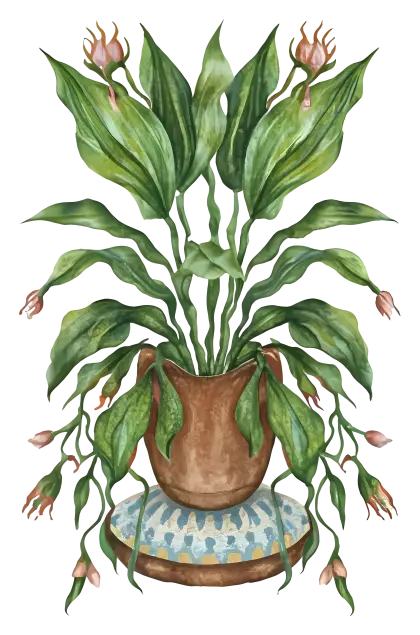 Potted Plant with Green Leaves