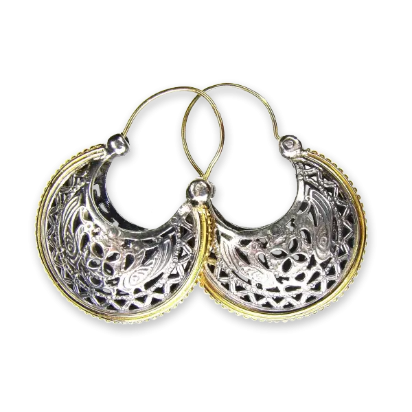 Silver and Gold Earrings