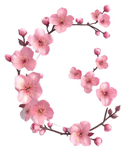 Pink Cherry Blossom Branch Illustration