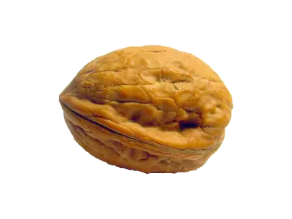 Close-up of a Walnut in Its Shell