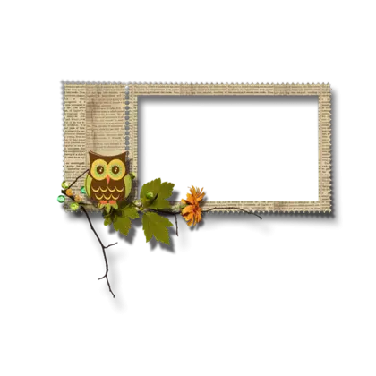 Cute Owl Frame with Leaves and Flowers