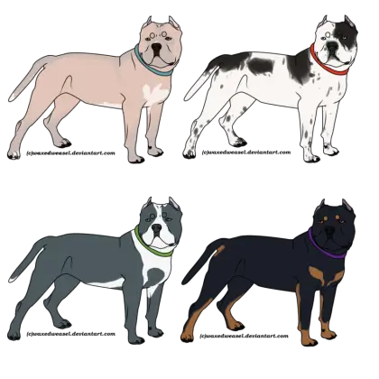 American Bully Dog Breed Illustration