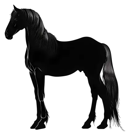 Black Horse Silhouette Artistic Design
