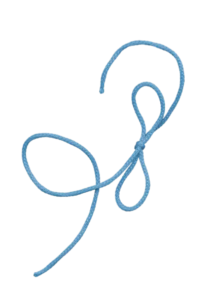 Blue Bow Knot Ribbon