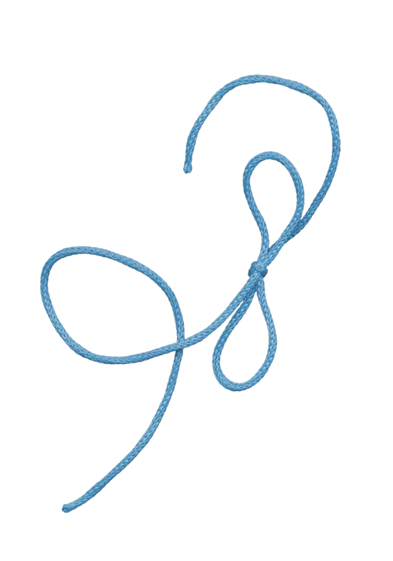 Blue Bow Knot Ribbon