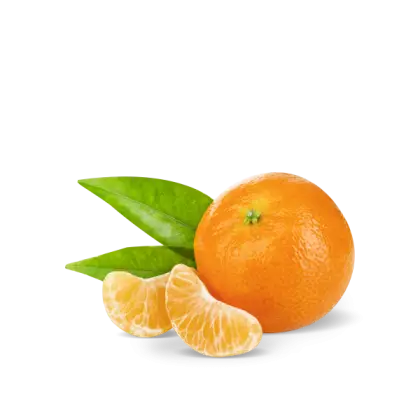 Fresh Mandarin Orange with Leaves and Slices