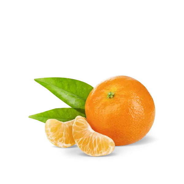 Fresh Mandarin Orange with Leaves and Slices