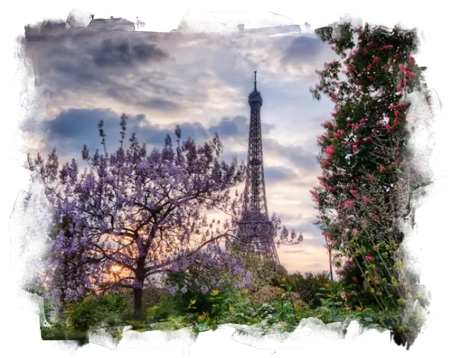 Eiffel Tower with Blossoms