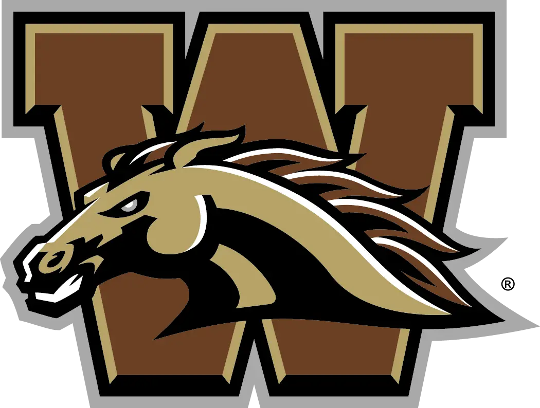 Brown Horse Sports Logo Design
