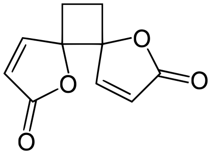 Chemical Structure Molecular Diagram