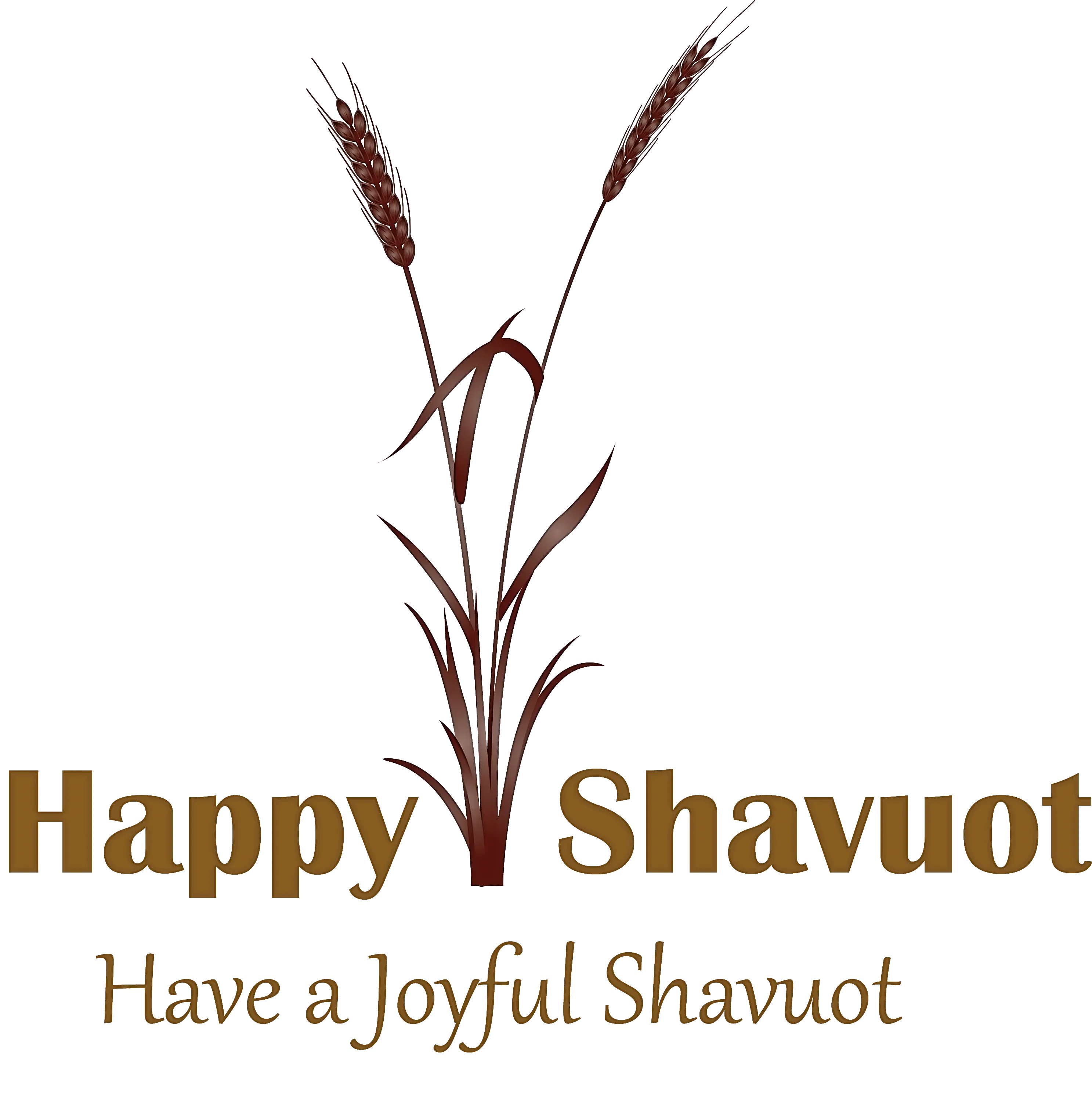 Elegant Shavuot Greeting with Wheat Drawing