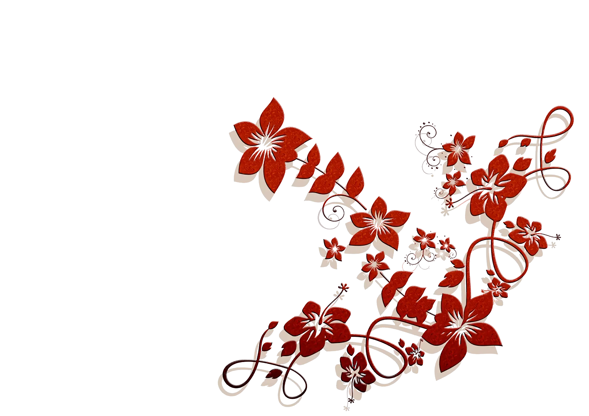 Red Floral Pattern Illustration