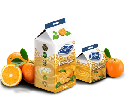 Orange Juice Cartons with Fresh Oranges