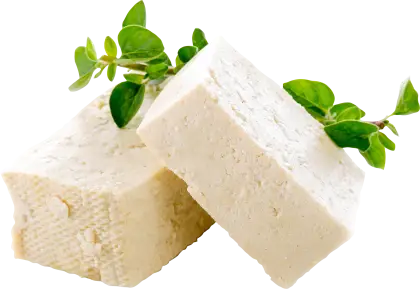 Fresh Tofu Blocks with Herbs